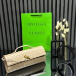 Bottega Veneta Andiamo Clutch Bag